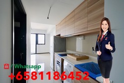 The Poiz Residences (D13), Apartment #192539352
